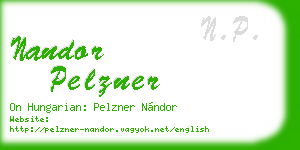 nandor pelzner business card
